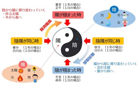 陰陽二極|東洋陰陽思想の核「太極」